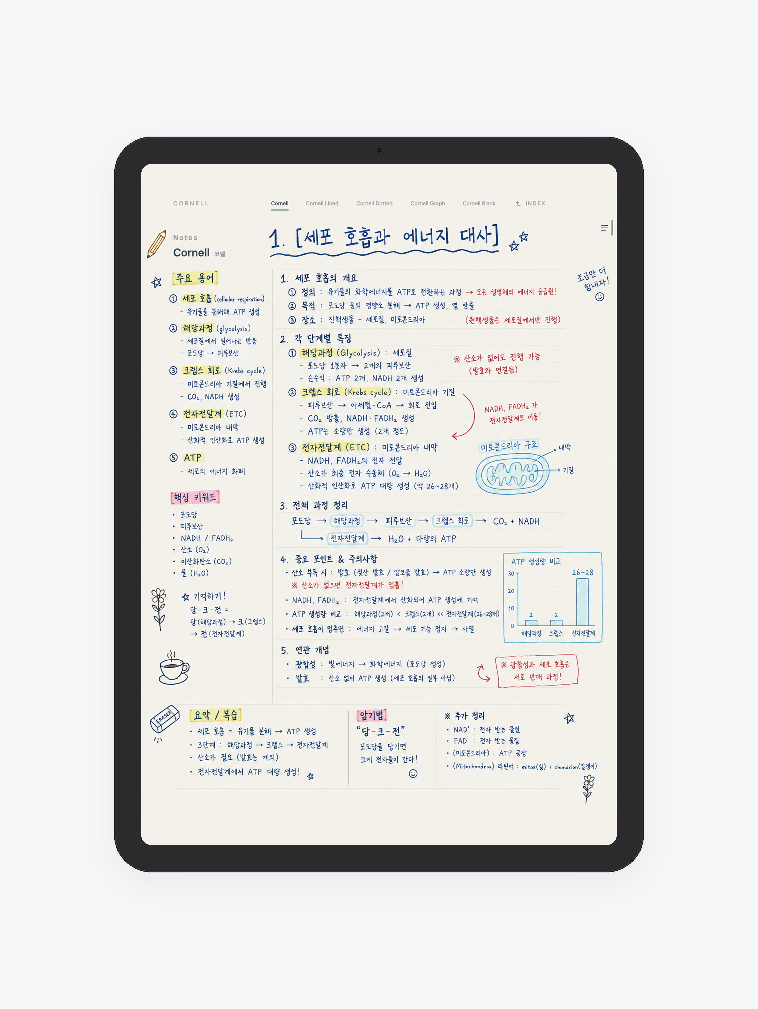 Cornell · 코넬 노트 미리보기