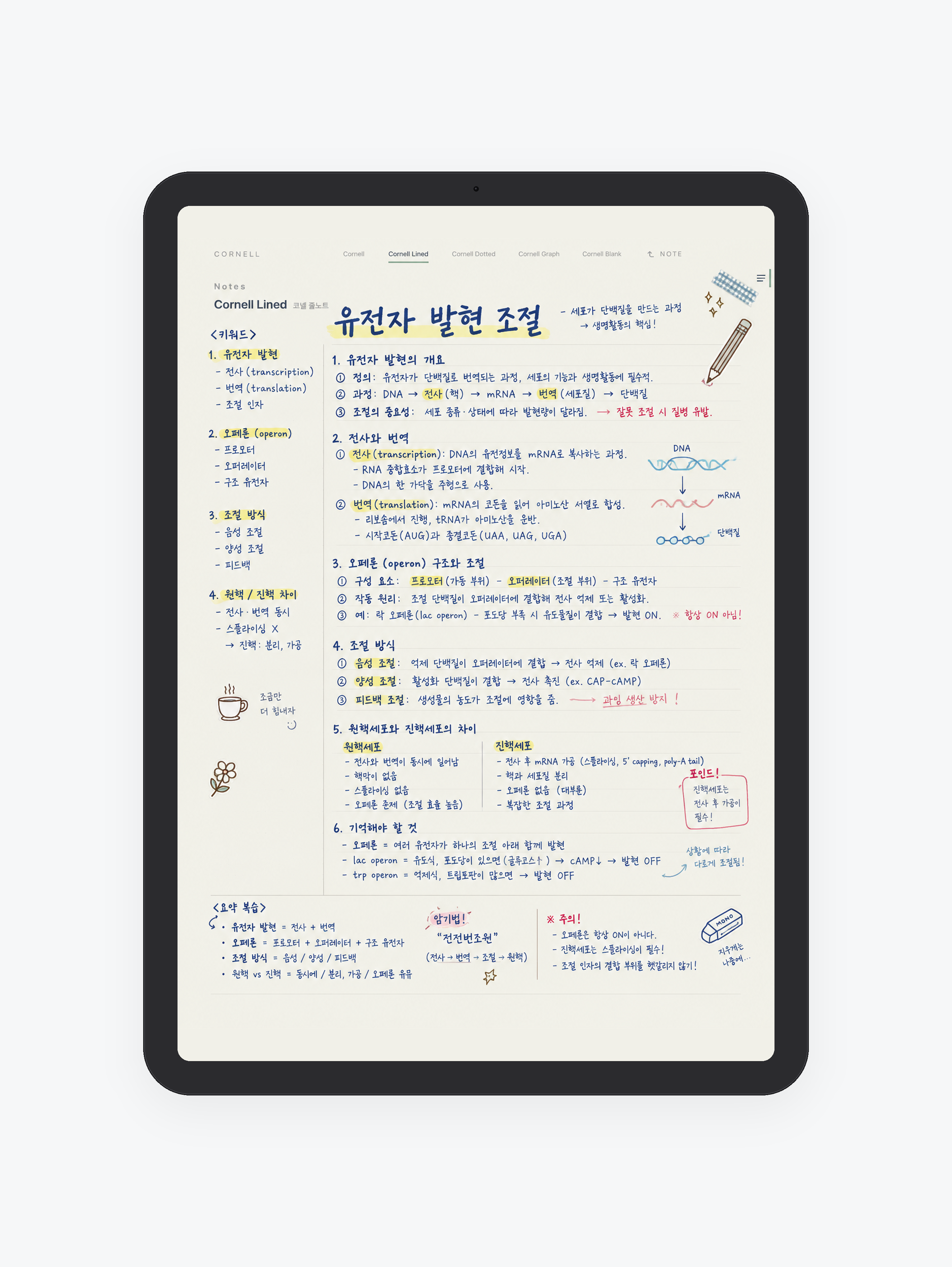 Cornell · 코넬 노트 미리보기