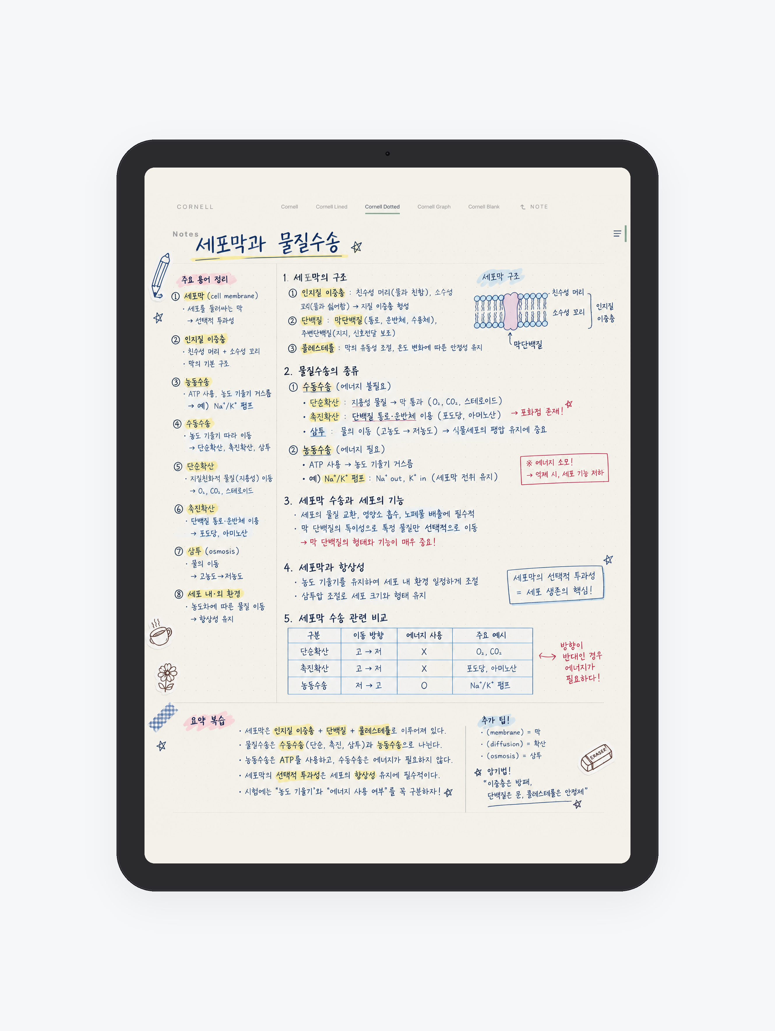 Cornell · 코넬 노트 미리보기