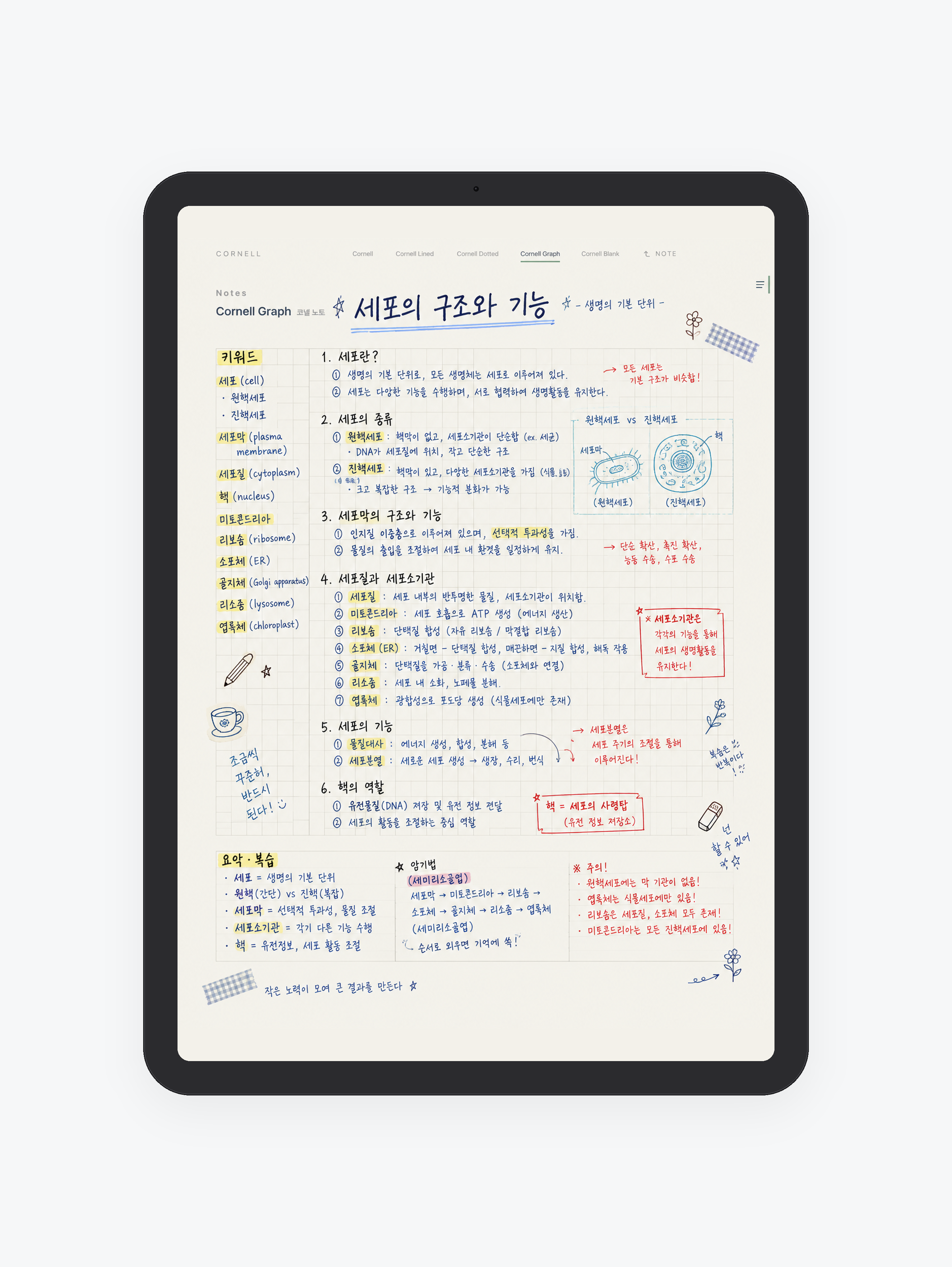 Cornell · 코넬 노트 미리보기
