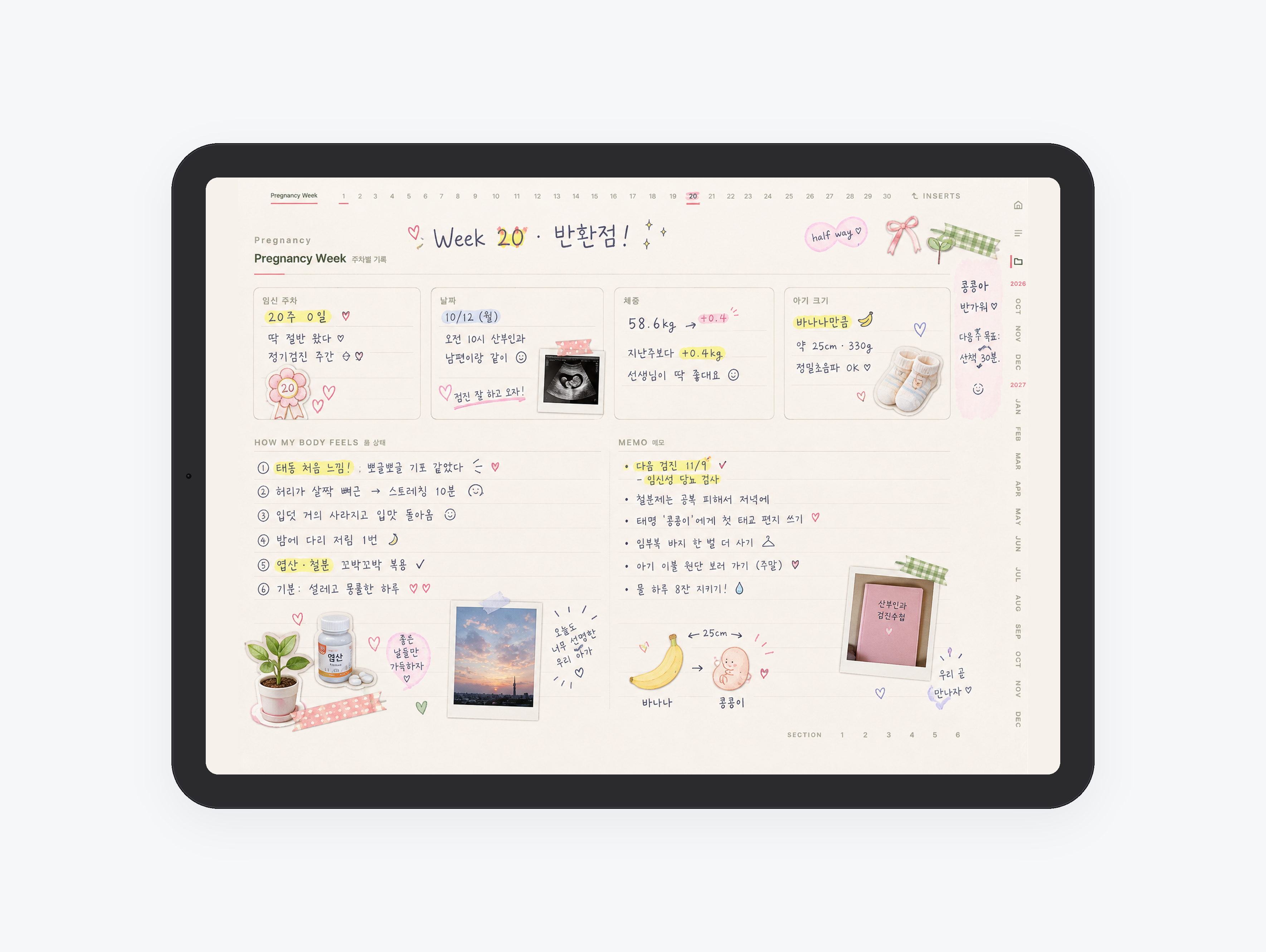 Bump · 예비맘 주차별 기록 미리보기