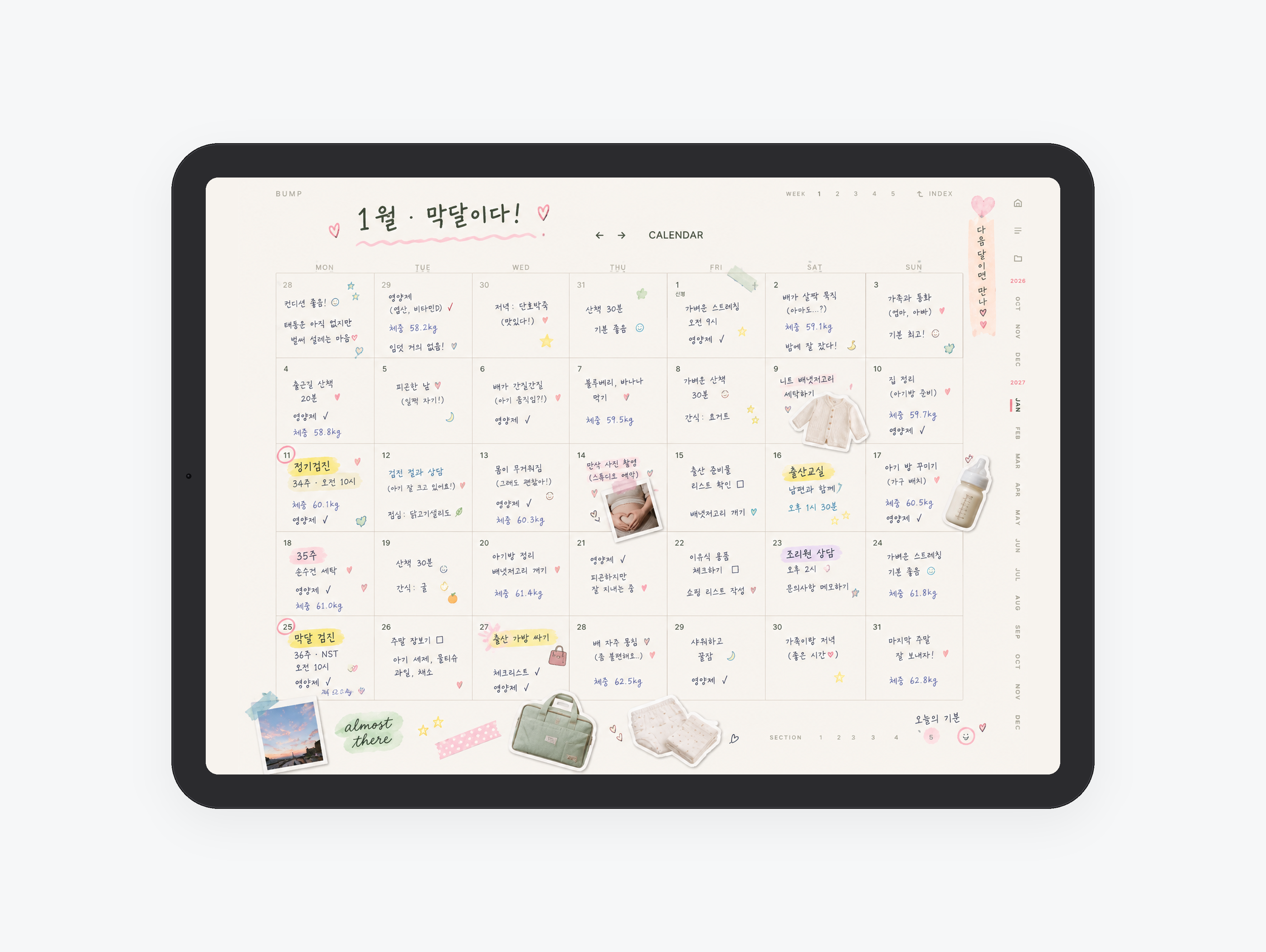 Bump · 예비맘 주차별 기록 미리보기