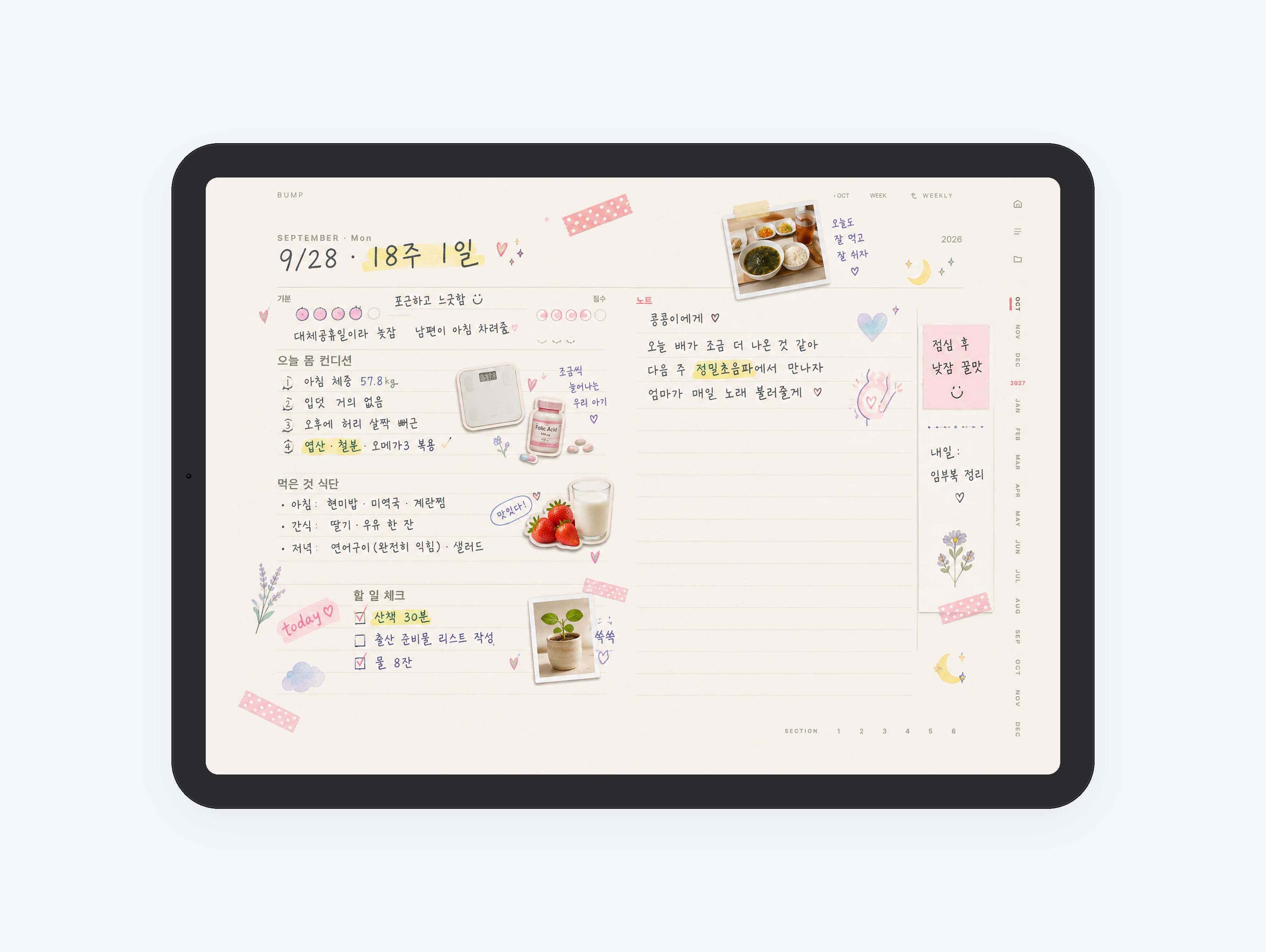 Bump · 예비맘 주차별 기록 미리보기
