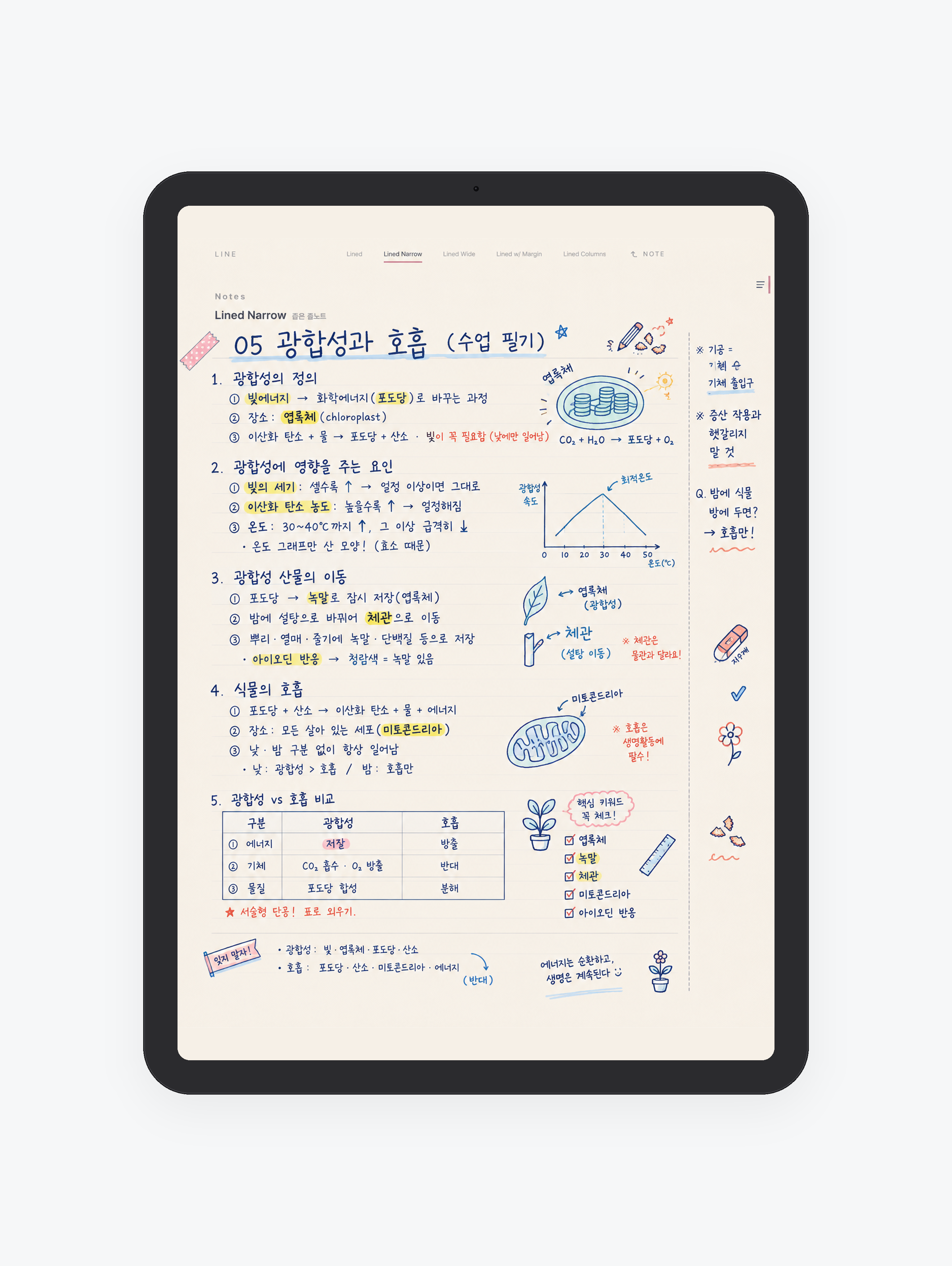 Line · 줄 공책 미리보기