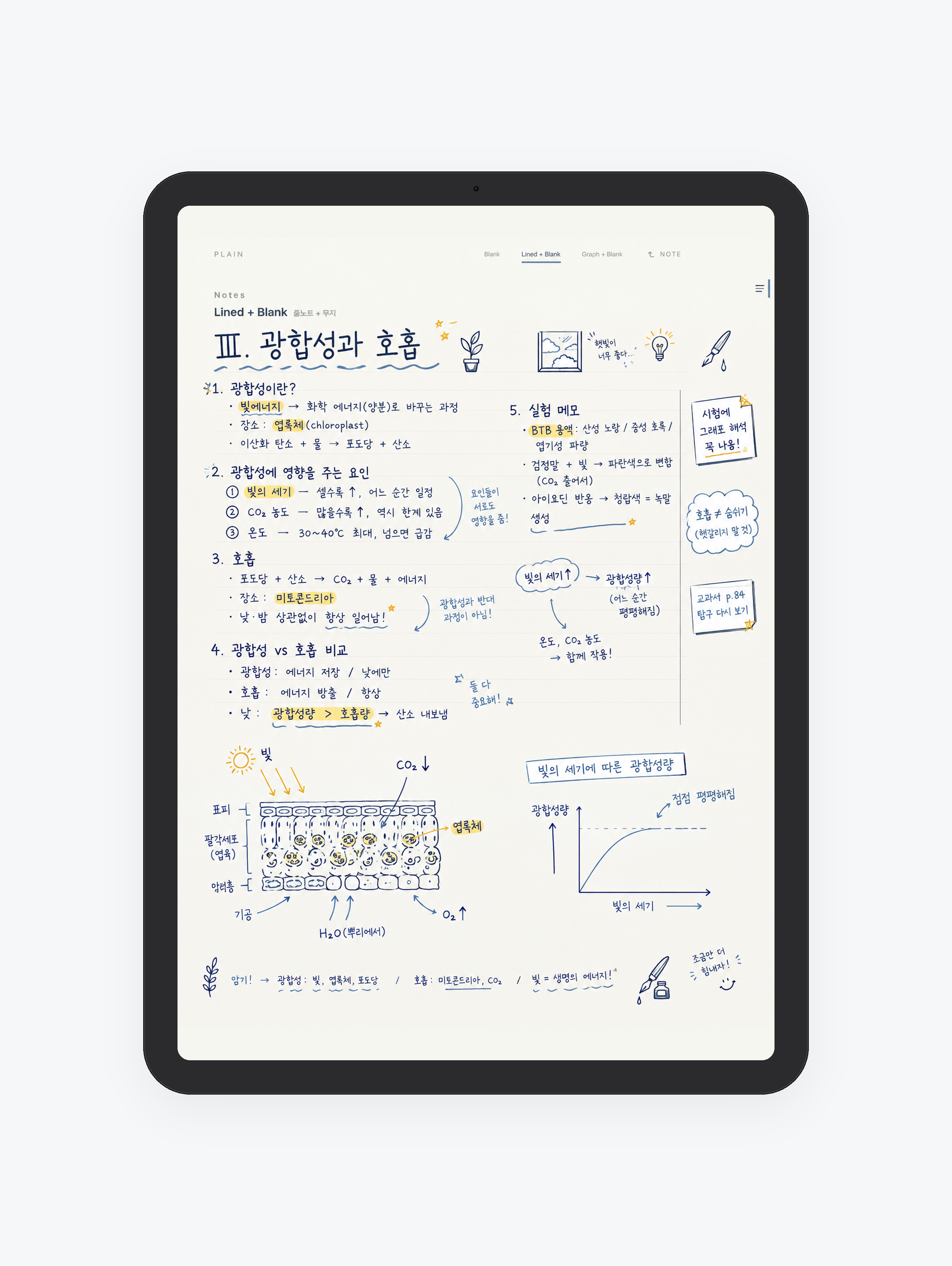 Plain · 무지 공책 미리보기
