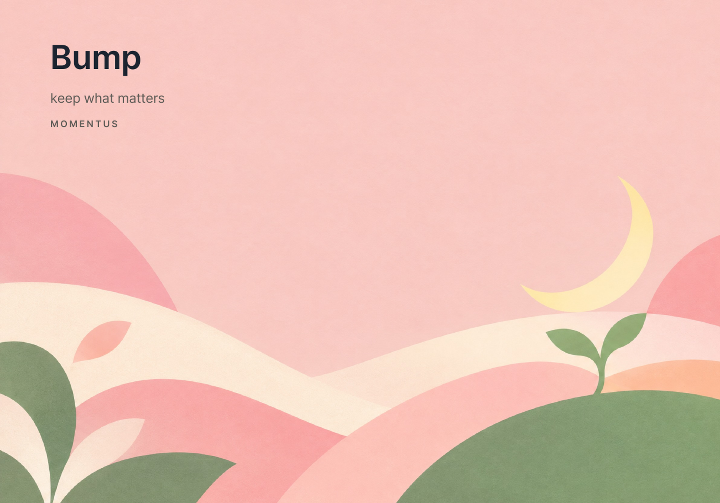 Bump · 예비맘 주차별 기록 표지